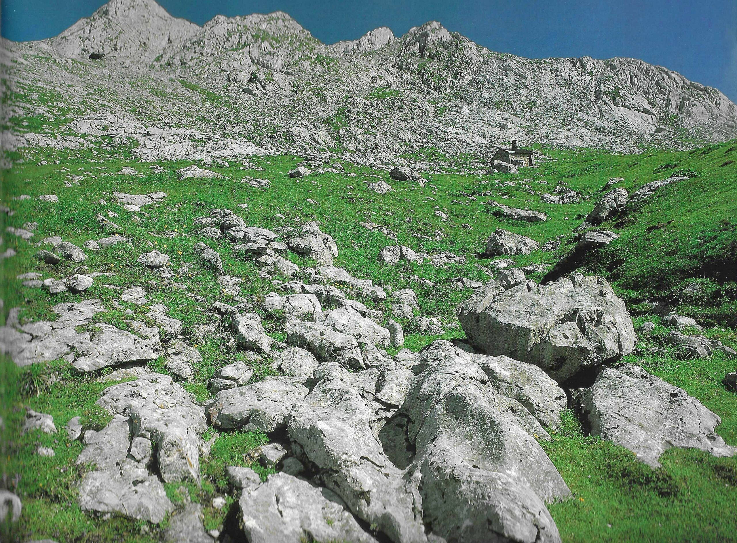 Campera de Ordiales sobre roca caliza